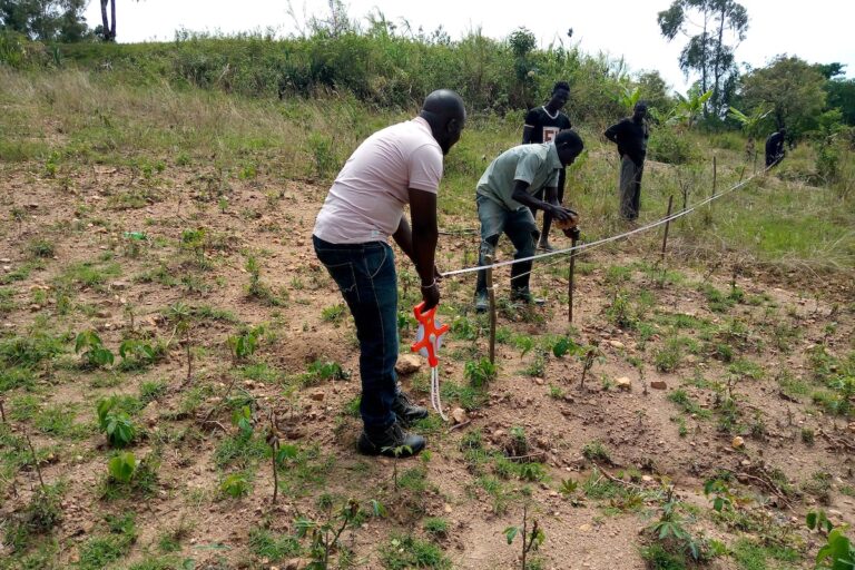 Community Contribution to Rebuild a Lost Environment